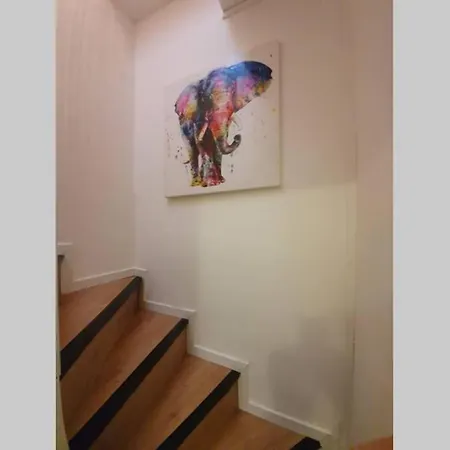 Apartment Hyper Centre