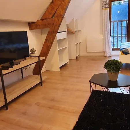 Hyper Centre Apartment Lourdes