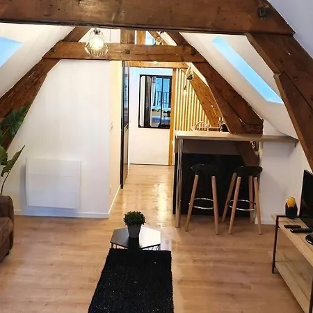 Hyper Centre Apartment Lourdes