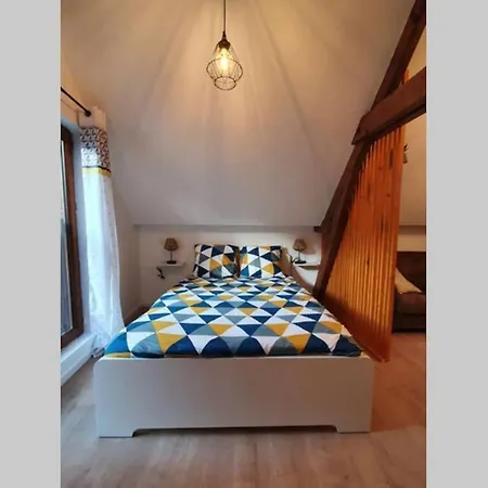 Apartment Hyper Centre
