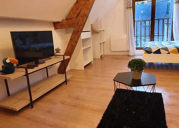 Hyper Centre Apartman Lourdes