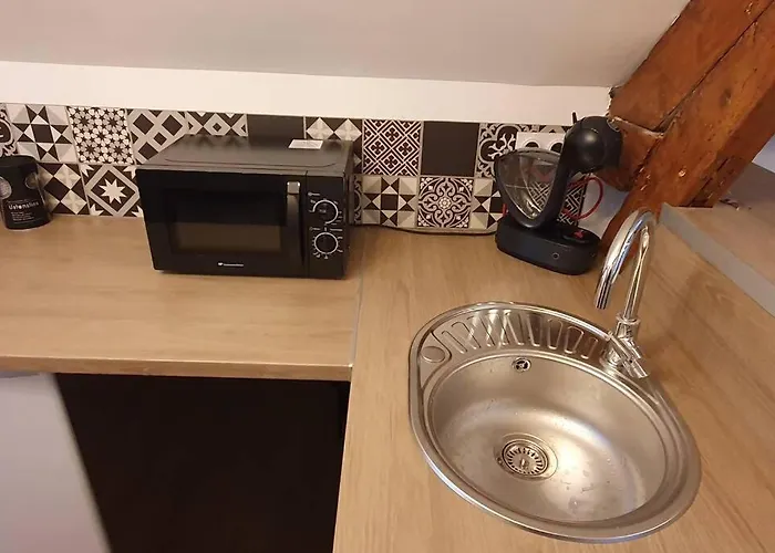 Hyper Centre Apartment Lourdes